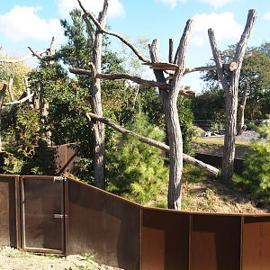 New secondary red panda exhibit, 2025-08-24