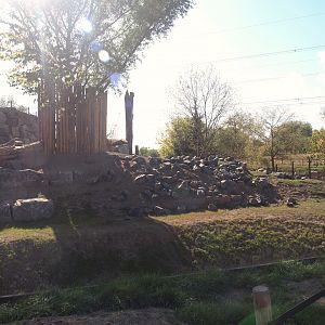 New golden takin exhibit, 2025-08-24