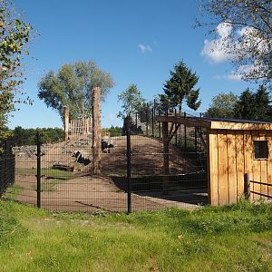 New golden takin exhibit, 2025-08-24