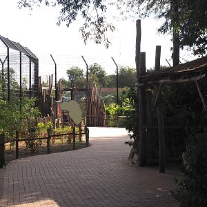 Walkway with Amur tiger (left side) and Eurasian brown bear (right side) viewing windodws, 2025-08-24