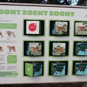 Tiger subspecies signage with an introduction to taxonomy, 2025-08-24