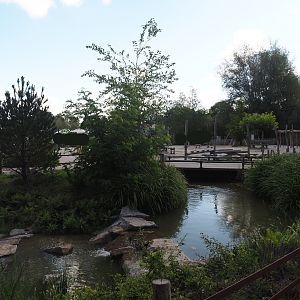 Second and larger new Amur tiger exhibit, 2025-08-24