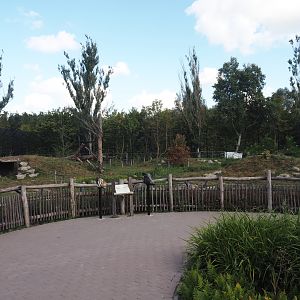 Second and larger new Amur tiger exhibit and walkway/viewing area, 2025-08-24