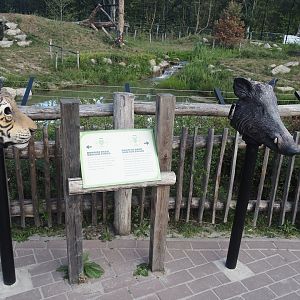 Look through the eyes of a tiger and a wild boar signage, 2025-08-24