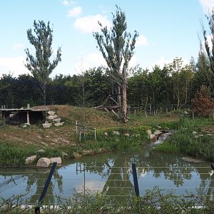 Second and larger new Amur tiger exhibit and walkway/viewing area, 2025-08-24