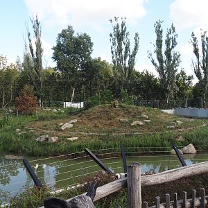 Second and larger new Amur tiger exhibit and walkway/viewing area, 2025-08-24
