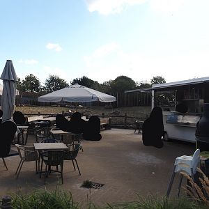 Rest area between Amur tiger and Indian rhinoceros exhibits - Terrace and food truck next to rhinos, 2025-08-24