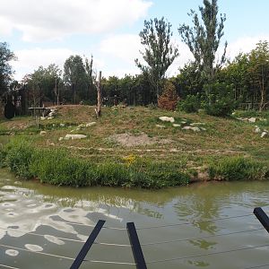 Second and larger new Amur tiger exhibit, 2025-08-24