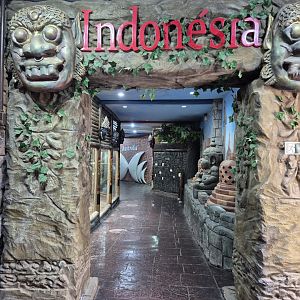 Indonesia entrance