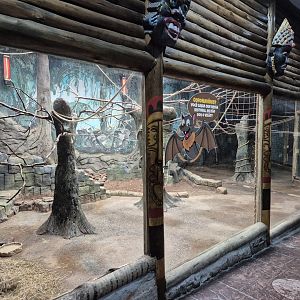 Large Flying Fox exhibit