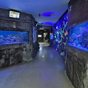 Sao paulo aquarium