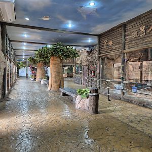 Australia zone/ Wombat and former Koala exhibits