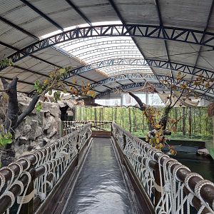 Amazon viewing platform