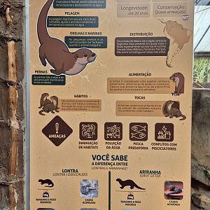 Neotropical Otters sign