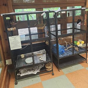 Denison Pequotsepos Nature Center - Songbird cages