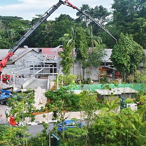 Rainforest Wild Africa entrance (under construction)