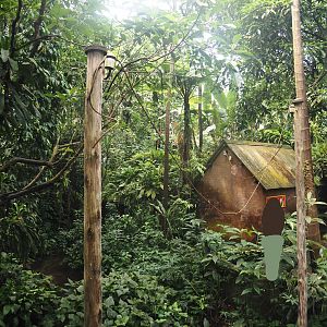 View in Burgers' Bush with vegetation around pond, cabin and leafcurrent ant poles and ropes, 2025-05-17