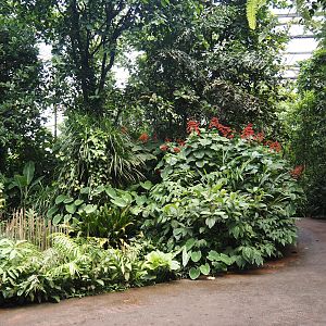 View in the Bush, 2025-05-17