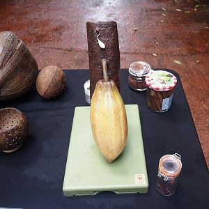 Education table with volunteers in the Bush - Cacoa pod model and rainforest products, 2025-05-17