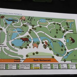 Education table with volunteers in the Bush - Map with locations of edible plants in Burgers' Bush, 2025-05-17