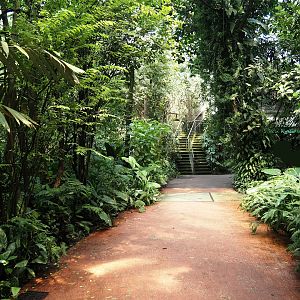Walkway in bush heading towards the restaurant, 2025-05-17