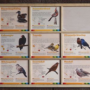 Burgers' Desert free-ranging birds signage, 2025-05-17