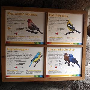 Signage for passerines in canyon aviary in Burgers' Desert, 2025-05-17