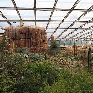 View in Desert with oasis area and big rock, 2025-05-17