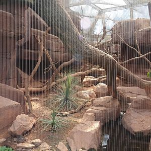 Former bobcat exhibit, 2025-05-17