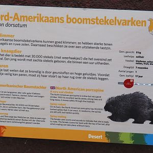 North American porcupine signage, 2025-05-17