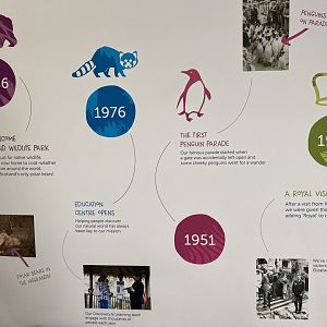 Timeline of Edinburgh Zoo's history 2