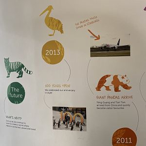 Timeline of Edinburgh Zoo's history 3