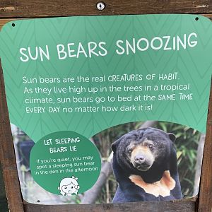 Sun bear signage