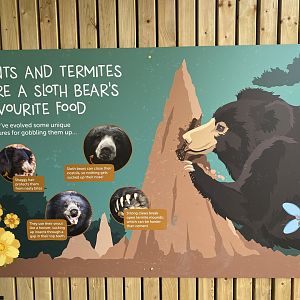 Sloth bear signage 1