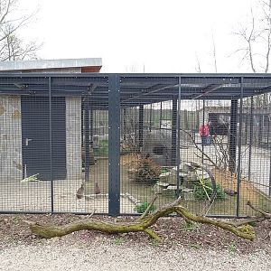 Amerika-Tierpark: InkaLand - cavy, Chacoan mara and Californian quail