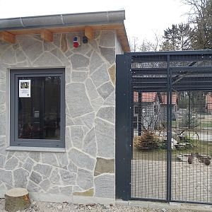 Amerika-Tierpark: InkaLand - cavy, Chacoan mara and Californian quail