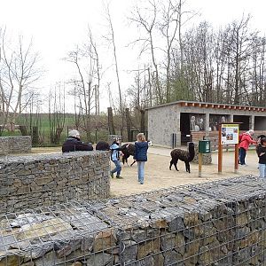 Amerika-Tierpark: InkaLand - alpaca enclosure