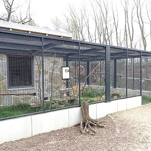 Amerika-Tierpark: InkaLand - burrowing owl enclosure