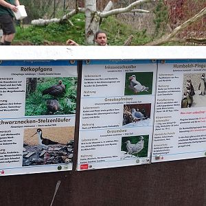 Amerika-Tierpark: InkaLand - Penguin/gull/tern aviary signage