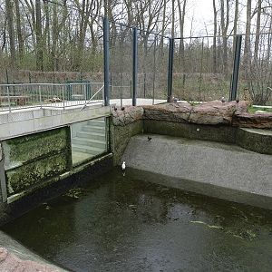 Amerika-Tierpark: InkaLand - Penguin/gull/tern aviary