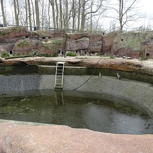 Amerika-Tierpark: InkaLand - Penguin/gull/tern aviary