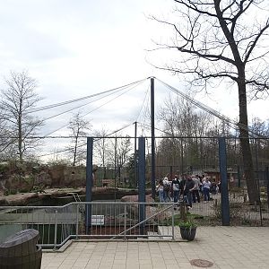 Amerika-Tierpark: InkaLand - Penguin/gull/tern aviary