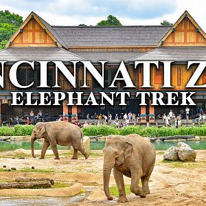 NEW! Virtual Tour of Elephant Trek | Zoo Tours