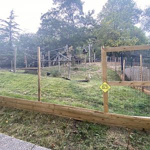 New spider monkey fencing