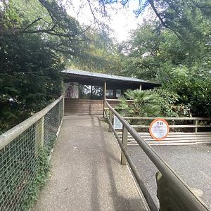 Gelada and spider monkey house