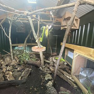 Sloth and armadillo enclosure