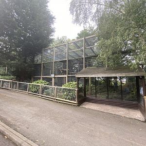 Snow leopard enclosure