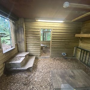 Indoor snow leopard enclosure