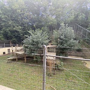 Sumatran tiger enclosure