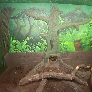 Indoor bush dog enclosure